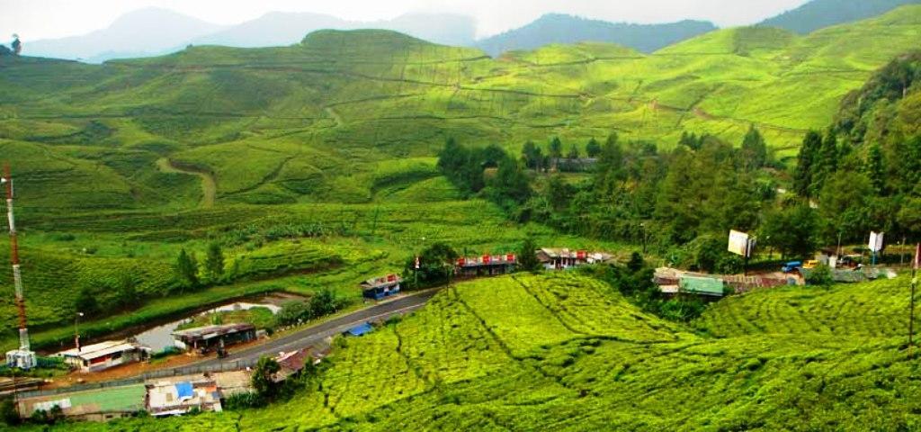 Zen Duta
